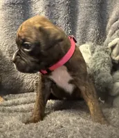 processed/b5b71125-b8a9-4dbc-985a-e86212c45e37/listing/1abb5de9-f529-4bfd-af2e-1b75c6bd46f2/ed495fd8-e4aa-42f0-b18b-4818faa1c65d