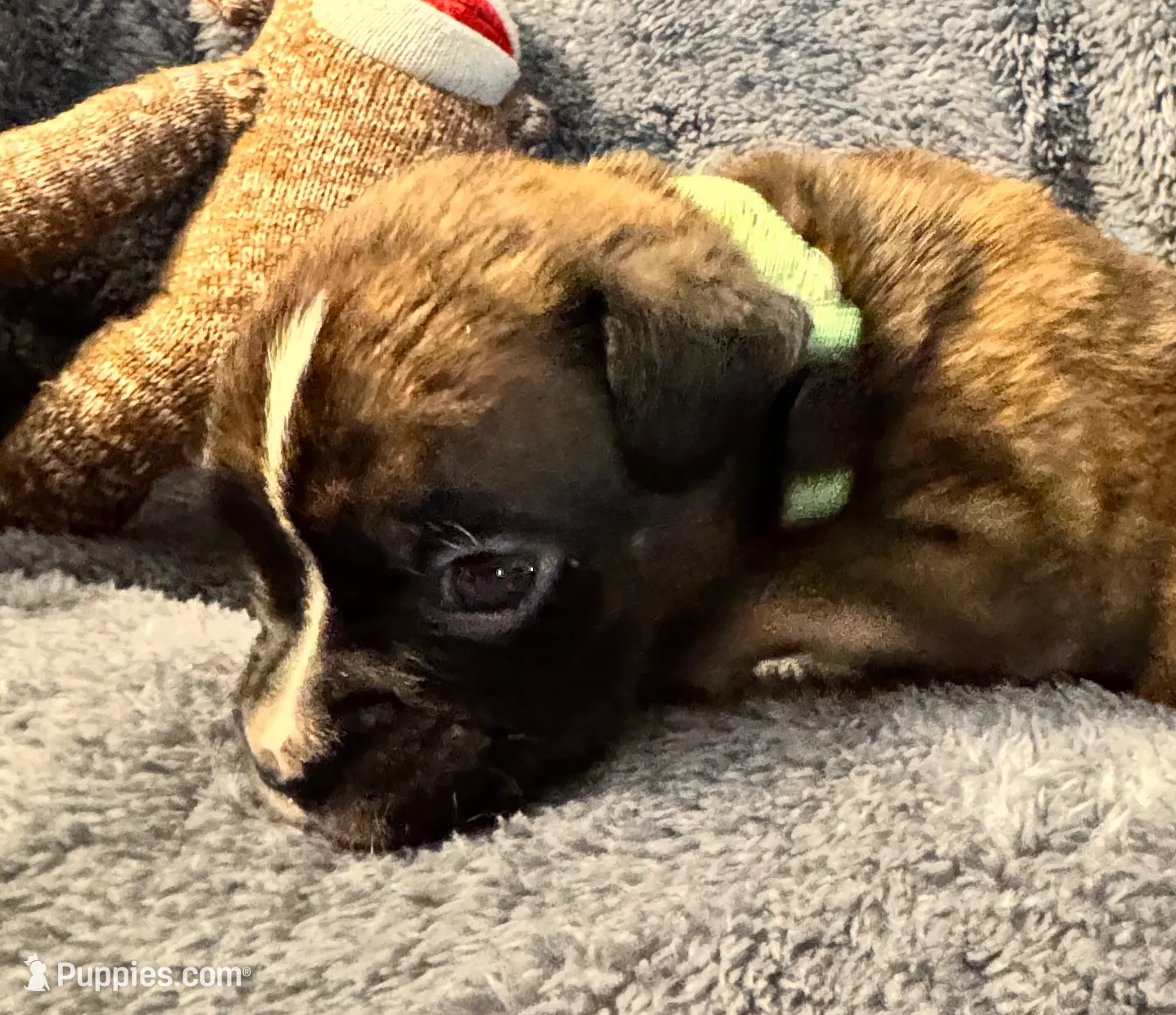 processed/b5b71125-b8a9-4dbc-985a-e86212c45e37/listing/560f5ace-81ad-4e40-b9c6-ef08fd139e43/030c4673-1586-44dc-aac5-79cb6ea8f354