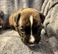 processed/b5b71125-b8a9-4dbc-985a-e86212c45e37/listing/560f5ace-81ad-4e40-b9c6-ef08fd139e43/0fc6684f-cf2f-41fd-a463-86fafd6e1f95