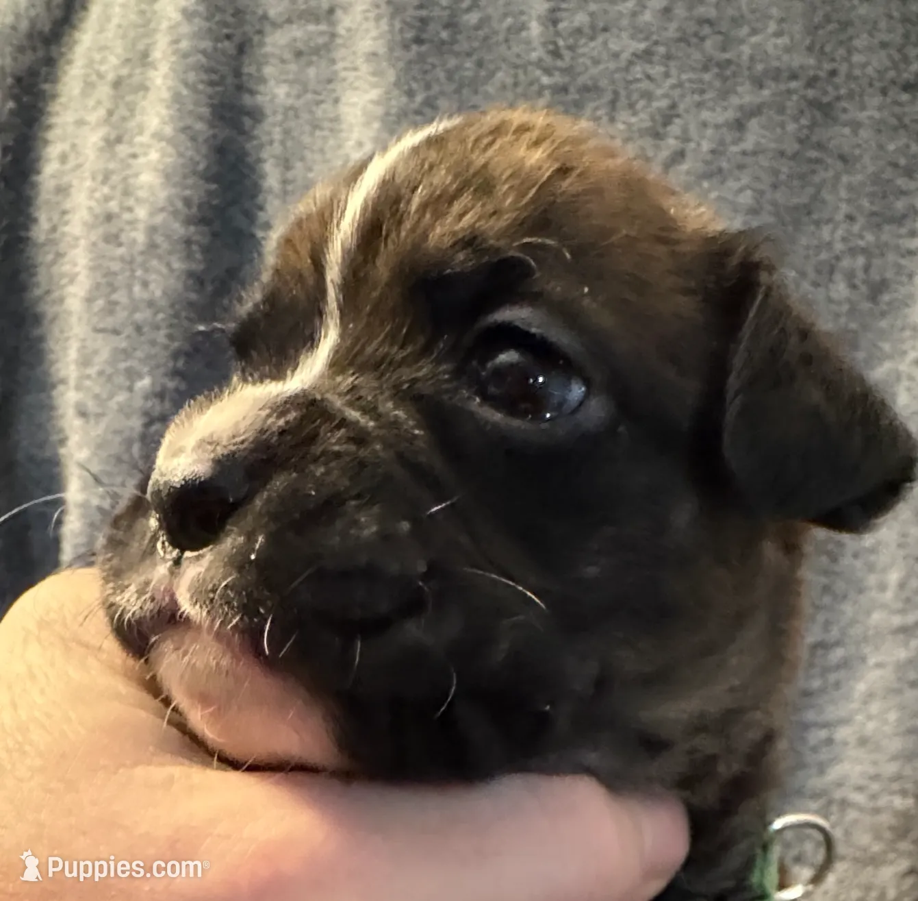 processed/b5b71125-b8a9-4dbc-985a-e86212c45e37/listing/560f5ace-81ad-4e40-b9c6-ef08fd139e43/1c4f7de9-212b-4be5-8592-350ab6af6f94