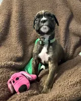 processed/b5b71125-b8a9-4dbc-985a-e86212c45e37/listing/560f5ace-81ad-4e40-b9c6-ef08fd139e43/3aa791d7-8afc-44b7-bd0d-06fc23563a29