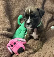 processed/b5b71125-b8a9-4dbc-985a-e86212c45e37/listing/560f5ace-81ad-4e40-b9c6-ef08fd139e43/73a99016-cc4e-4d02-916e-5b2a138152b7