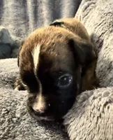 processed/b5b71125-b8a9-4dbc-985a-e86212c45e37/listing/560f5ace-81ad-4e40-b9c6-ef08fd139e43/cceac529-3936-44c4-9dbd-f545b59689ec