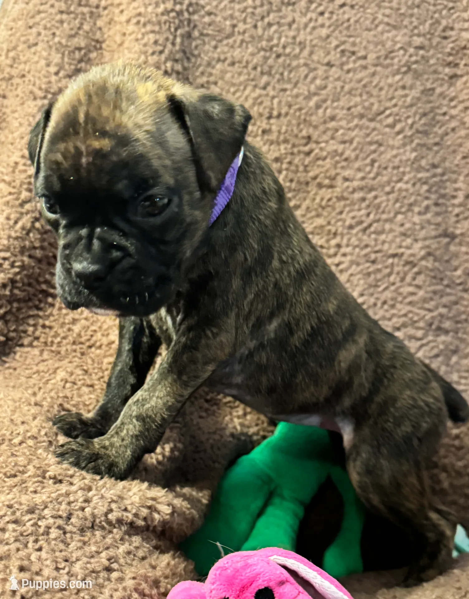 processed/b5b71125-b8a9-4dbc-985a-e86212c45e37/listing/721bef92-5a92-4753-8736-a255725de245/1a6915ef-dc4e-4297-b699-8209d0717976