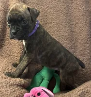 processed/b5b71125-b8a9-4dbc-985a-e86212c45e37/listing/721bef92-5a92-4753-8736-a255725de245/5ba7c13e-acfa-4216-ac5b-549d62f50f86