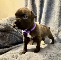 processed/b5b71125-b8a9-4dbc-985a-e86212c45e37/listing/721bef92-5a92-4753-8736-a255725de245/5bd10a79-2cf6-4c5c-a0ca-2a18c8570e4e