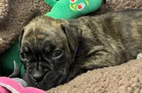 processed/b5b71125-b8a9-4dbc-985a-e86212c45e37/listing/721bef92-5a92-4753-8736-a255725de245/6f2cca08-8142-422c-b181-92b23b24373a