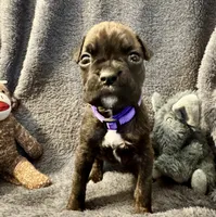 processed/b5b71125-b8a9-4dbc-985a-e86212c45e37/listing/721bef92-5a92-4753-8736-a255725de245/8f3b5561-e576-4050-b73f-d1bace5ad3ba