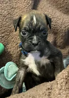 processed/b5b71125-b8a9-4dbc-985a-e86212c45e37/listing/7c27b268-f39d-4034-a432-d46cfd40fa2c/0873453a-b231-4534-b96f-a0955e4963df