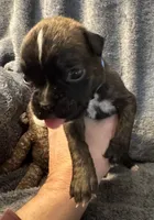 processed/b5b71125-b8a9-4dbc-985a-e86212c45e37/listing/7c27b268-f39d-4034-a432-d46cfd40fa2c/77480d89-23a7-42e7-842a-76c4db6a7c48