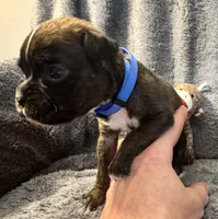 processed/b5b71125-b8a9-4dbc-985a-e86212c45e37/listing/7c27b268-f39d-4034-a432-d46cfd40fa2c/818954ee-0bbd-458a-962c-7104680c6221