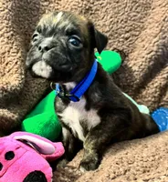 processed/b5b71125-b8a9-4dbc-985a-e86212c45e37/listing/7c27b268-f39d-4034-a432-d46cfd40fa2c/8d8e984d-ba4b-414a-9f06-b3f1b5449eff