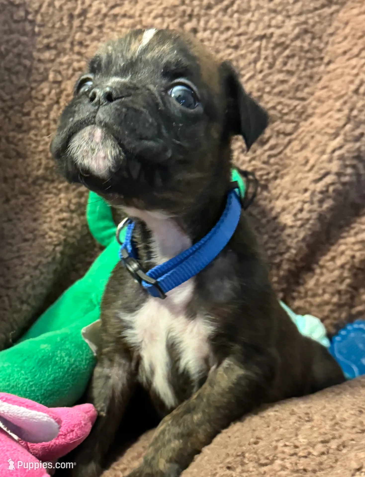 processed/b5b71125-b8a9-4dbc-985a-e86212c45e37/listing/7c27b268-f39d-4034-a432-d46cfd40fa2c/bea52bc6-8dbb-4fff-8906-a841e14266fd