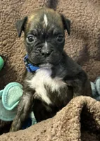 processed/b5b71125-b8a9-4dbc-985a-e86212c45e37/listing/7c27b268-f39d-4034-a432-d46cfd40fa2c/d85af587-b496-4ed3-b684-4f3fe2eb9ce3