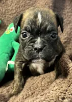 processed/b5b71125-b8a9-4dbc-985a-e86212c45e37/listing/7c27b268-f39d-4034-a432-d46cfd40fa2c/dca8cf07-ee6a-427a-8562-360040ebfe8b