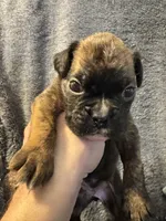 processed/b5b71125-b8a9-4dbc-985a-e86212c45e37/listing/8382ae91-9e9a-4693-9f2b-3e753eb237b7/070b2db8-dff3-4f71-aeaf-4356b1ed7686