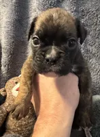 processed/b5b71125-b8a9-4dbc-985a-e86212c45e37/listing/8382ae91-9e9a-4693-9f2b-3e753eb237b7/2d725a0d-43ca-41e0-b71c-c2e3cd51c1ab