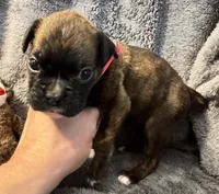 processed/b5b71125-b8a9-4dbc-985a-e86212c45e37/listing/8382ae91-9e9a-4693-9f2b-3e753eb237b7/415924d5-2f0b-43af-9281-f3efc4438e5d