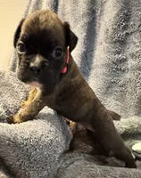 processed/b5b71125-b8a9-4dbc-985a-e86212c45e37/listing/8382ae91-9e9a-4693-9f2b-3e753eb237b7/be6b0316-6720-48e1-97e8-96a3c29827d9