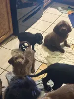 processed/b5bab014-fcd7-4df2-bbcb-535b5c3175e2/listing/1c22d1b3-6d7e-432d-ad15-8bb996d78dbc/55287875-ccb1-403f-bb4c-69eeca326787