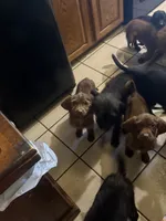 processed/b5bab014-fcd7-4df2-bbcb-535b5c3175e2/listing/1c22d1b3-6d7e-432d-ad15-8bb996d78dbc/d7a85284-d5be-4ab1-bab8-e91c9ff6f4cb