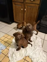 processed/b5bab014-fcd7-4df2-bbcb-535b5c3175e2/listing/8aa5208d-1d2d-477f-9f28-546afa3d6bec/8ea7df16-5b2a-413f-bc41-854d2fb54090