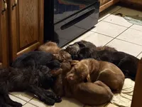 processed/b5bab014-fcd7-4df2-bbcb-535b5c3175e2/listing/f7235522-2e2f-4236-bce3-9bec784f54f9/26bb0cd5-ace4-455e-a879-407a29d62e28