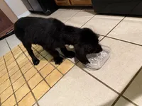 processed/b5bab014-fcd7-4df2-bbcb-535b5c3175e2/listing/f7235522-2e2f-4236-bce3-9bec784f54f9/8afd0cd7-a293-495e-934c-bc5a3c6e7750