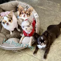 processed/b5bcae45-0389-4b1e-8f0e-bb3abb7dc693/facility/3040454d-7696-4473-8435-d3a64b6aad98