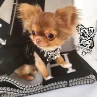 processed/b5bcae45-0389-4b1e-8f0e-bb3abb7dc693/facility/3157c51a-f7f8-4737-b3fd-c75dfd187453