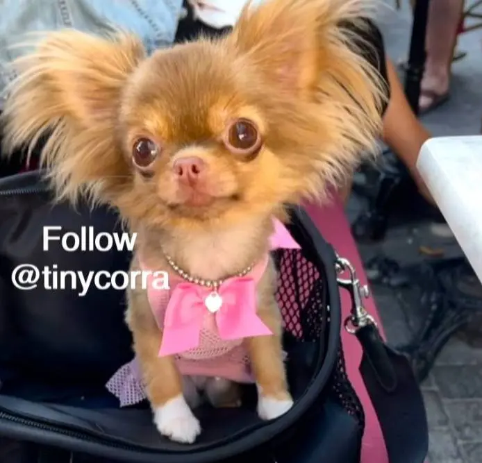 processed/b5bcae45-0389-4b1e-8f0e-bb3abb7dc693/facility/560713e1-b184-4ef7-95f9-597d1f77e3ce