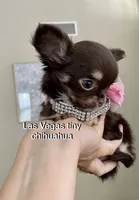 processed/b5bcae45-0389-4b1e-8f0e-bb3abb7dc693/facility/58b9ed1f-a110-47c6-973c-4a15d65bfe4a