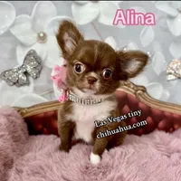 processed/b5bcae45-0389-4b1e-8f0e-bb3abb7dc693/facility/59bd4ab9-84d3-4b55-8633-bd9ea48a4270