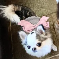 processed/b5bcae45-0389-4b1e-8f0e-bb3abb7dc693/facility/697a2064-782c-4643-9a82-a6d6e1f11a72