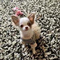 processed/b5bcae45-0389-4b1e-8f0e-bb3abb7dc693/facility/cd4ce351-f894-40ae-aaa2-b980dfe18a44