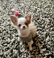 processed/b5bcae45-0389-4b1e-8f0e-bb3abb7dc693/facility/cd4ce351-f894-40ae-aaa2-b980dfe18a44