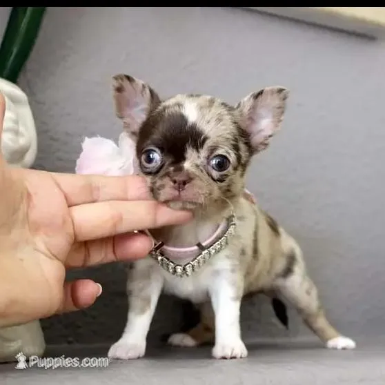 processed/b5bcae45-0389-4b1e-8f0e-bb3abb7dc693/facility/d65b10df-0308-4637-a129-1d4ee5945a46