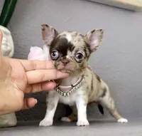 processed/b5bcae45-0389-4b1e-8f0e-bb3abb7dc693/facility/d65b10df-0308-4637-a129-1d4ee5945a46