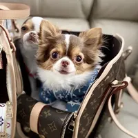 processed/b5bcae45-0389-4b1e-8f0e-bb3abb7dc693/facility/d6d5c61d-4072-4682-b778-6f8bb21b192b