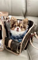 processed/b5bcae45-0389-4b1e-8f0e-bb3abb7dc693/facility/d6d5c61d-4072-4682-b778-6f8bb21b192b