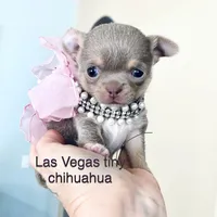 processed/b5bcae45-0389-4b1e-8f0e-bb3abb7dc693/facility/fd643976-1e5e-446a-b48b-2f2bab181a0d