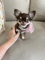 processed/b5bcae45-0389-4b1e-8f0e-bb3abb7dc693/listing/599089a2-ac67-4ceb-9c4d-5b4b9e2381dc/ccd180bd-3891-441f-a98f-0a9dfd35e434