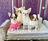 processed/b5bcae45-0389-4b1e-8f0e-bb3abb7dc693/listing/617507fc-efcf-450e-b31b-1ebb072c8a97/1ee2522b-6b56-4e9c-8475-e1f0da59b8da