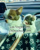 processed/b5bcae45-0389-4b1e-8f0e-bb3abb7dc693/listing/617507fc-efcf-450e-b31b-1ebb072c8a97/228276b1-0b4e-4b35-9a50-c2b1b7a856db