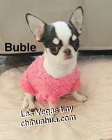 processed/b5bcae45-0389-4b1e-8f0e-bb3abb7dc693/listing/617507fc-efcf-450e-b31b-1ebb072c8a97/a0bdcdd6-c1b5-4e6d-bb3b-8f478c74b5ee