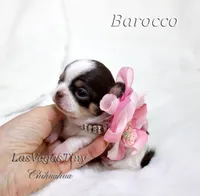 processed/b5bcae45-0389-4b1e-8f0e-bb3abb7dc693/listing/b43af090-0afe-4fd3-8d75-21cf956c93fb/252b54b4-aafa-4e8f-a6c6-0a4431fcb381