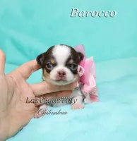 processed/b5bcae45-0389-4b1e-8f0e-bb3abb7dc693/listing/b43af090-0afe-4fd3-8d75-21cf956c93fb/3c629ca2-9270-408b-87ff-44ebc2d1e967