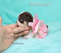 processed/b5bcae45-0389-4b1e-8f0e-bb3abb7dc693/listing/b43af090-0afe-4fd3-8d75-21cf956c93fb/69691554-be38-4d71-b133-3fac1c8741b7