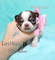 processed/b5bcae45-0389-4b1e-8f0e-bb3abb7dc693/listing/b43af090-0afe-4fd3-8d75-21cf956c93fb/8895fdbc-dd9f-41b5-b801-d6949979ae8d