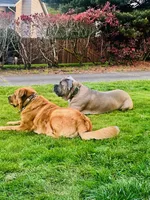 processed/b5be4f98-ed8c-4e8d-b830-cdc60d365802/listing/b2ac3bd3-0dc2-4d9a-9daf-85bd04684de7/44ccdafd-1532-43a1-ab00-cb6323b1e88e